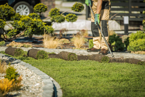 hardscape contractors